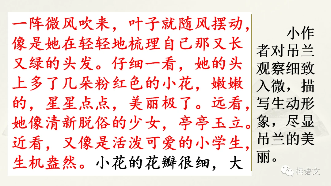 篮球训练内容文字描述_1